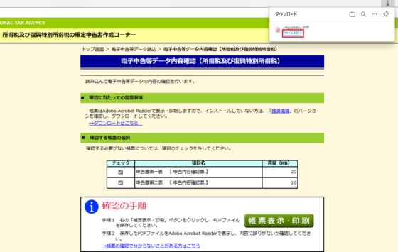 電子申告等データ内容確認画面の画像