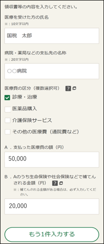 医療費控除入力画面