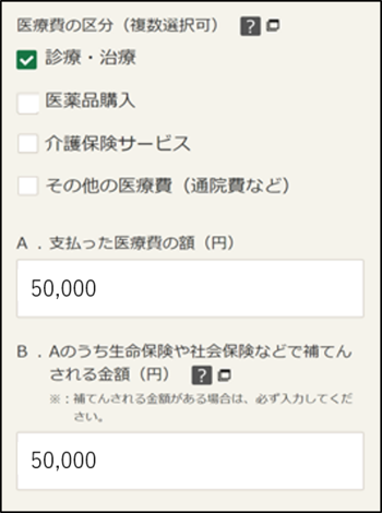 医療費控除入力画面