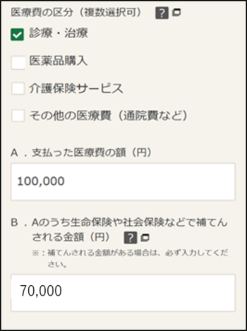 医療費控除入力画面